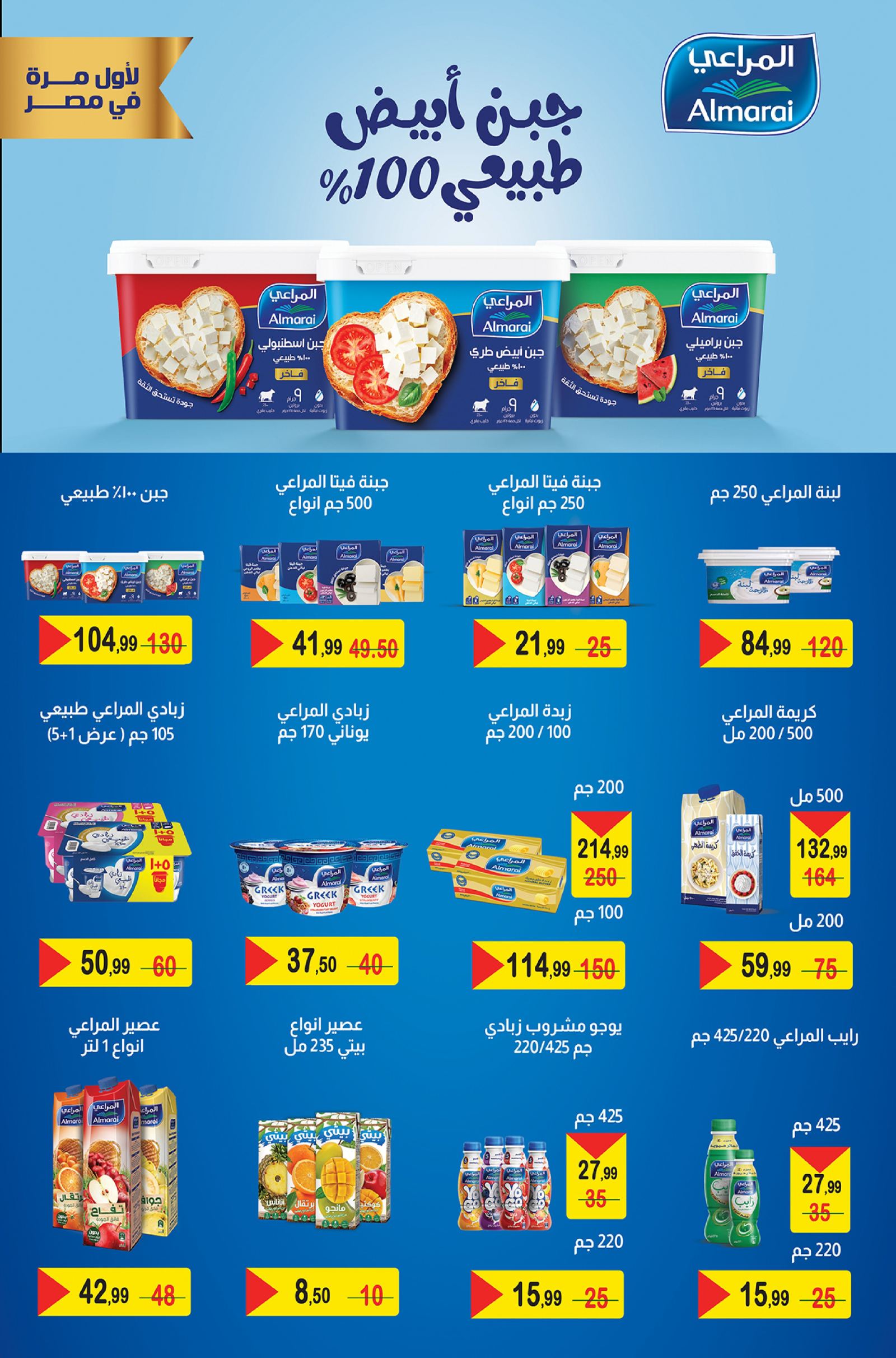 صفحة 8