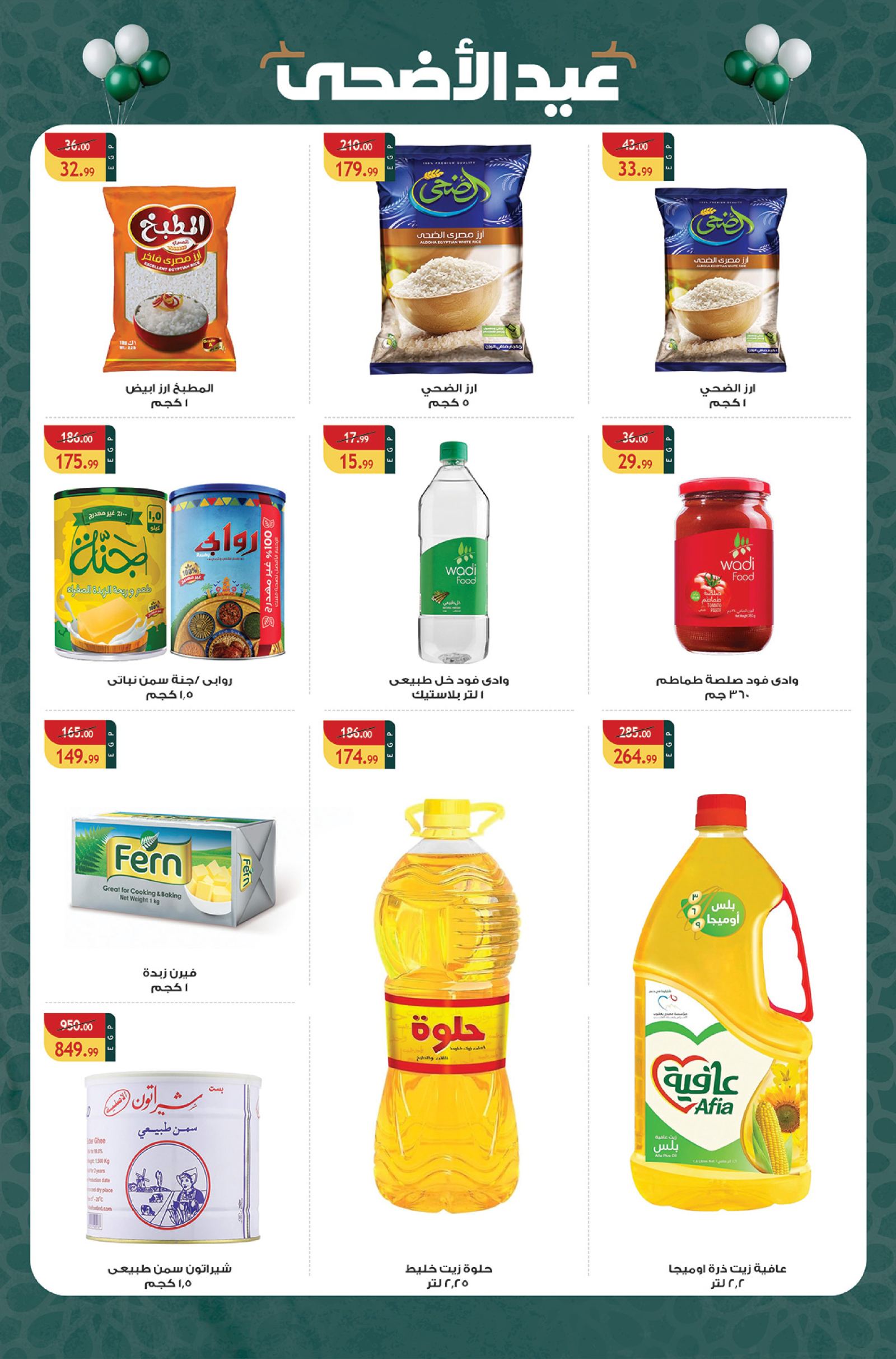 صفحة 24
